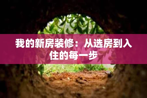 我的新房装修:从选房到入住的每一步 我的新房装修:从选房到入住的每一步