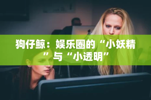 狗仔鲸:娱乐圈的“小妖精”与“小透明” 狗仔鲸:娱乐圈的“小妖精”与“小透明”