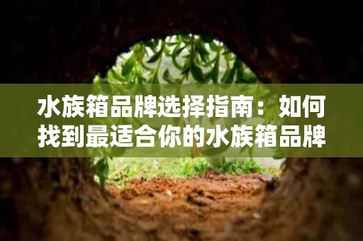 水族箱品牌选择指南:如何找到最适合你的水族箱品牌? 水族箱品牌选择指南:如何找到最适合你的水族箱品牌?