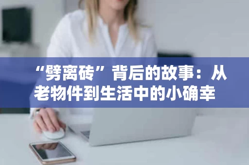 “劈离砖”背后的故事:从老物件到生活中的小确幸 “劈离砖”背后的故事:从老物件到生活中的小确幸