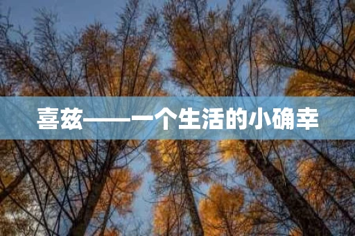 喜兹——一个生活的小确幸