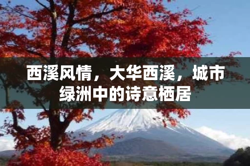 西溪风情,大华西溪,城市绿洲中的诗意栖居 西溪风情,大华西溪,城市绿洲中的诗意栖居