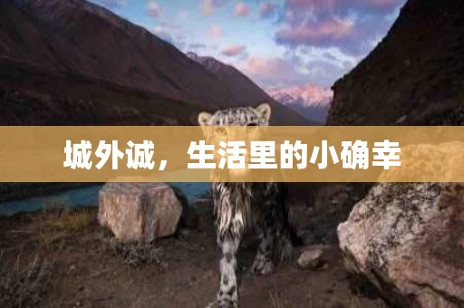 城外诚,生活里的小确幸 城外诚,生活里的小确幸