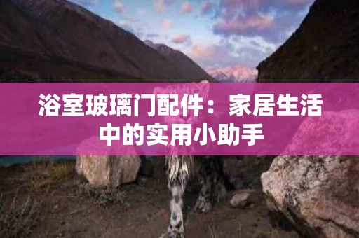 浴室玻璃门配件:家居生活中的实用小助手 浴室玻璃门配件:家居生活中的实用小助手