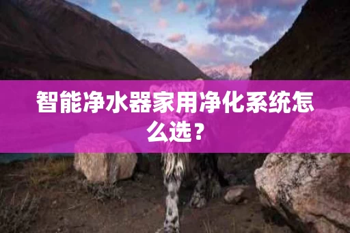 智能净水器家用净化系统怎么选？