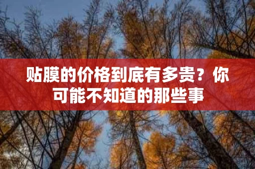 贴膜的价格到底有多贵?你可能不知道的那些事 贴膜的价格到底有多贵?你可能不知道的那些事