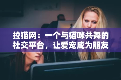拉猫网:一个与猫咪共舞的社交平台,让爱宠成为朋友圈的焦点 拉猫网:一个与猫咪共舞的社交平台,让爱宠成为朋友圈的焦点