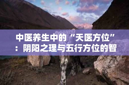 中医养生中的“天医方位”:阴阳之理与五行方位的智慧 中医养生中的“天医方位”:阴阳之理与五行方位的智慧