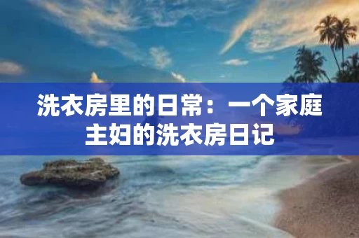 洗衣房里的日常：一个家庭主妇的洗衣房日记
