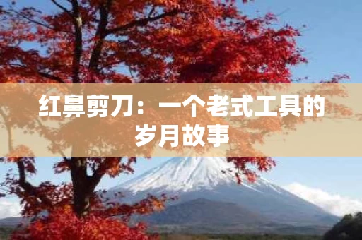 红鼻剪刀：一个老式工具的岁月故事