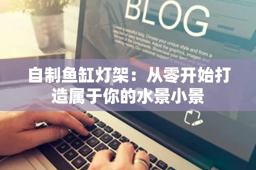 自制鱼缸灯架:从零开始打造属于你的水景小景 自制鱼缸灯架:从零开始打造属于你的水景小景