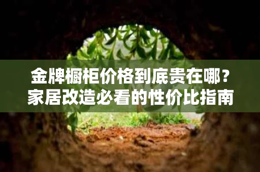 金牌橱柜价格到底贵在哪？家居改造必看的性价比指南