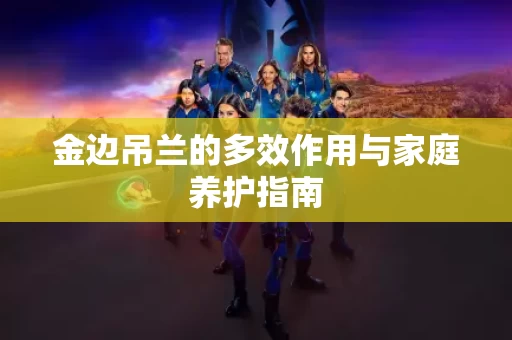 金边吊兰的多效作用与家庭养护指南 金边吊兰的多效作用与家庭养护指南