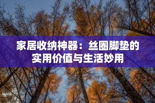 家居收纳神器：丝圈脚垫的实用价值与生活妙用