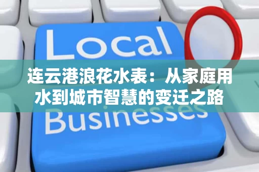 连云港浪花水表:从家庭用水到城市智慧的变迁之路 连云港浪花水表:从家庭用水到城市智慧的变迁之路