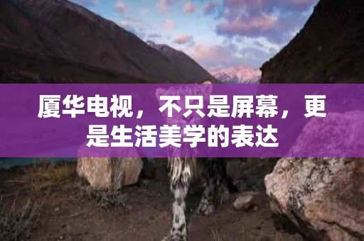 厦华电视，不只是屏幕，更是生活美学的表达