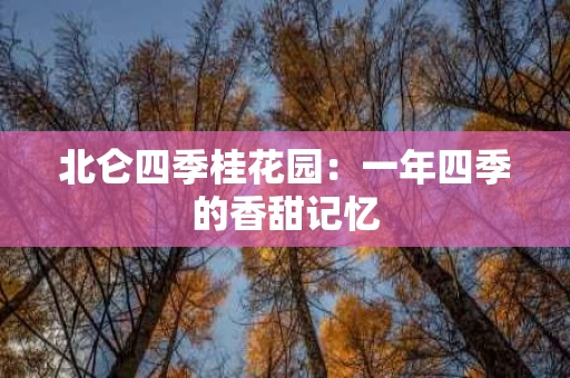 北仑四季桂花园：一年四季的香甜记忆