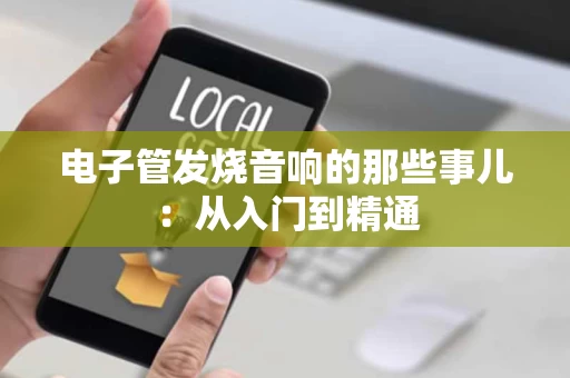 电子管发烧音响的那些事儿:从入门到精通 电子管发烧音响的那些事儿:从入门到精通