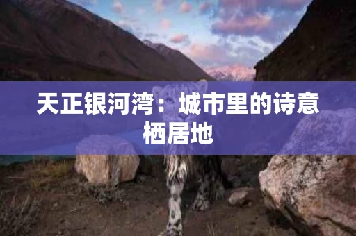 天正银河湾：城市里的诗意栖居地