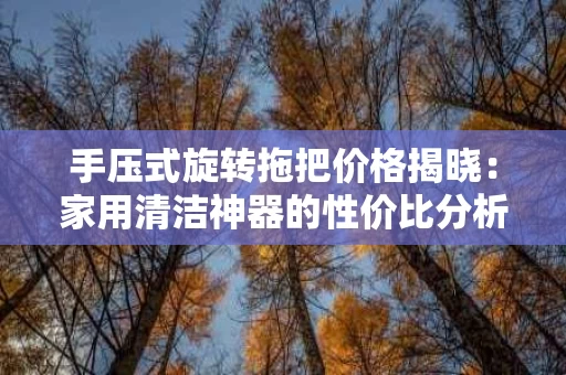 手压式旋转拖把价格揭晓:家用清洁神器的性价比分析 手压式旋转拖把价格揭晓:家用清洁神器的性价比分析