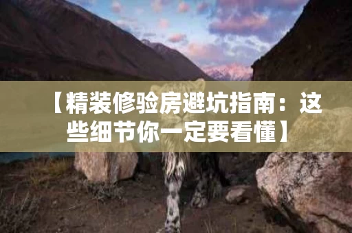 【精装修验房避坑指南：这些细节你一定要看懂】