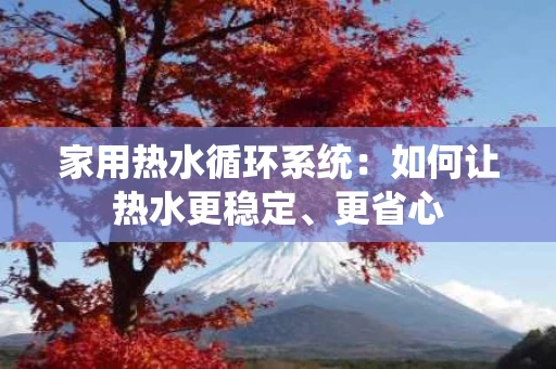 家用热水循环系统:如何让热水更稳定、更省心 家用热水循环系统:如何让热水更稳定、更省心
