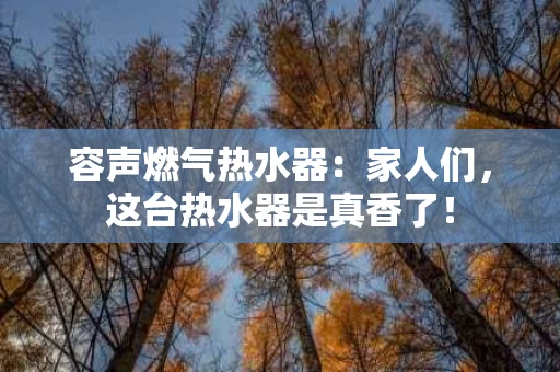 容声燃气热水器:家人们,这台热水器是真香了! 容声燃气热水器:家人们,这台热水器是真香了!