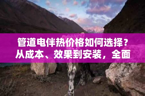 管道电伴热价格如何选择？从成本、效果到安装，全面解析