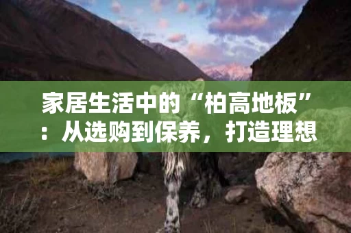 家居生活中的“柏高地板”：从选购到保养，打造理想家居空间
