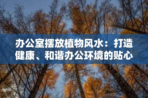 办公室摆放植物风水：打造健康、和谐办公环境的贴心之道