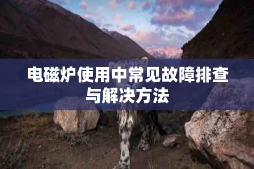 电磁炉使用中常见故障排查与解决方法 电磁炉使用中常见故障排查与解决方法