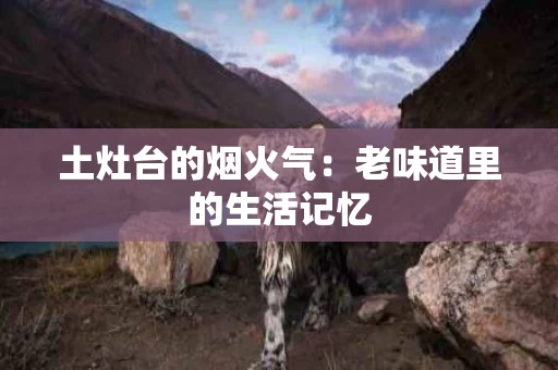 土灶台的烟火气:老味道里的生活记忆 土灶台的烟火气:老味道里的生活记忆