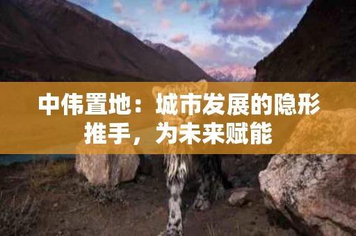 中伟置地：城市发展的隐形推手，为未来赋能