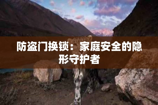 防盗门换锁：家庭安全的隐形守护者