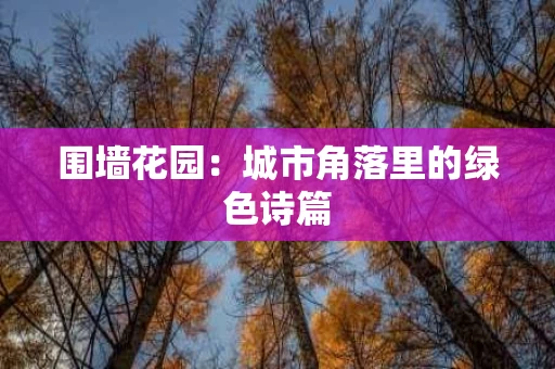 围墙花园:城市角落里的绿色诗篇 围墙花园:城市角落里的绿色诗篇