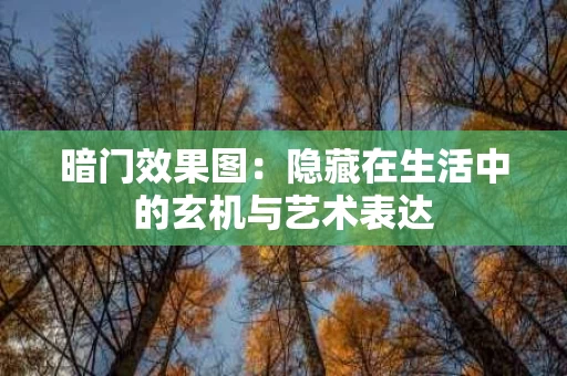 暗门效果图:隐藏在生活中的玄机与艺术表达 暗门效果图:隐藏在生活中的玄机与艺术表达