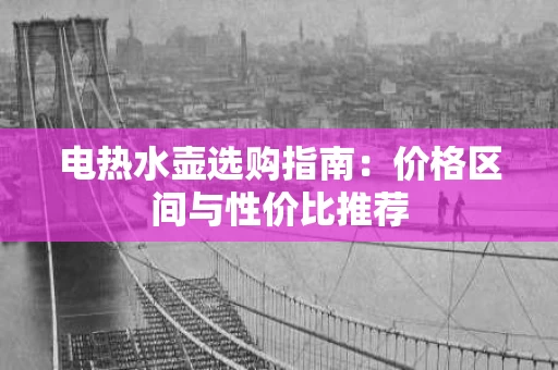 电热水壶选购指南:价格区间与性价比推荐 电热水壶选购指南:价格区间与性价比推荐