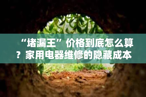 “堵漏王”价格到底怎么算?家用电器维修的隐藏成本全解析 “堵漏王”价格到底怎么算?家用电器维修的隐藏成本全解析