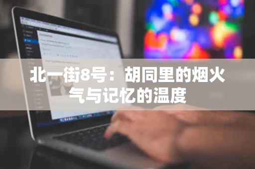 北一街8号:胡同里的烟火气与记忆的温度 北一街8号:胡同里的烟火气与记忆的温度