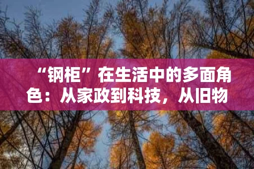 “钢柜”在生活中的多面角色:从家政到科技,从旧物到新宠 “钢柜”在生活中的多面角色:从家政到科技,从旧物到新宠