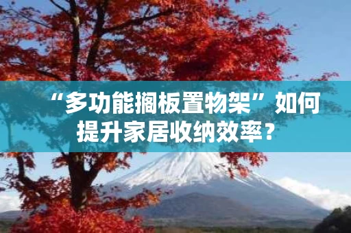 “多功能搁板置物架”如何提升家居收纳效率? “多功能搁板置物架”如何提升家居收纳效率?