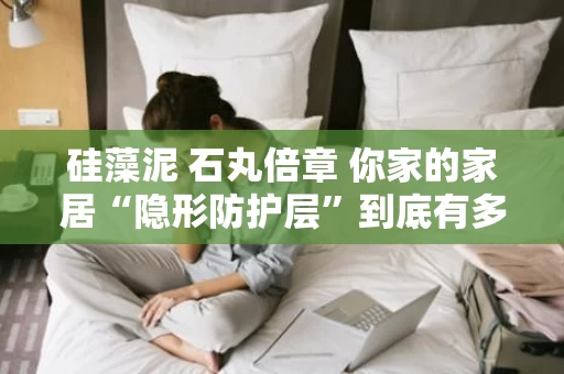 硅藻泥 石丸倍章 你家的家居“隐形防护层”到底有多靠谱？