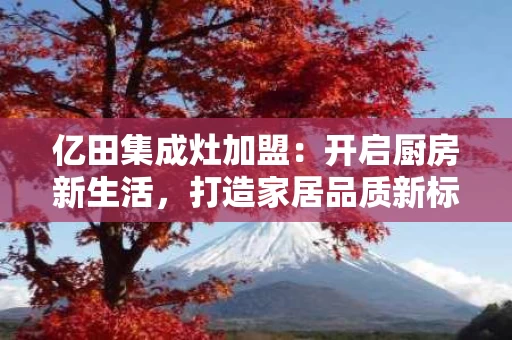 亿田集成灶加盟：开启厨房新生活，打造家居品质新标杆