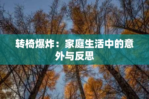 转椅爆炸:家庭生活中的意外与反思 转椅爆炸:家庭生活中的意外与反思