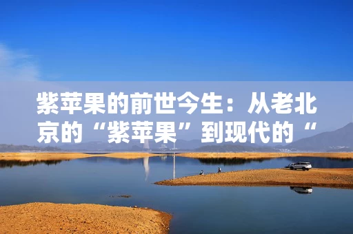 紫苹果的前世今生:从老北京的“紫苹果”到现代的“紫苹果” 紫苹果的前世今生:从老北京的“紫苹果”到现代的“紫苹果”