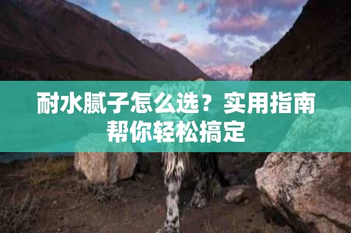 耐水腻子怎么选?实用指南帮你轻松搞定 耐水腻子怎么选?实用指南帮你轻松搞定