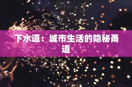 下水道:城市生活的隐秘甬道 下水道:城市生活的隐秘甬道