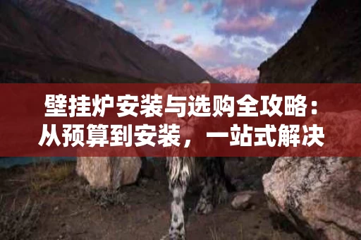 壁挂炉安装与选购全攻略:从预算到安装,一站式解决方案 壁挂炉安装与选购全攻略:从预算到安装,一站式解决方案