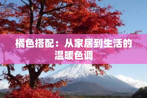橘色搭配:从家居到生活的温暖色调 橘色搭配:从家居到生活的温暖色调