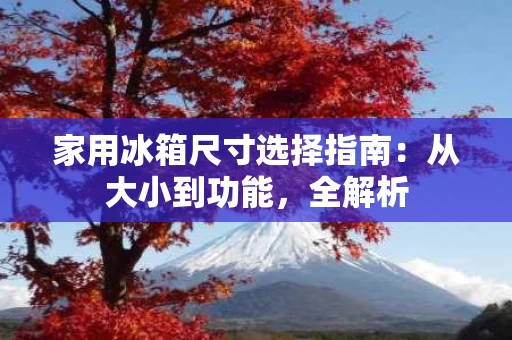 家用冰箱尺寸选择指南:从大小到功能,全解析 家用冰箱尺寸选择指南:从大小到功能,全解析